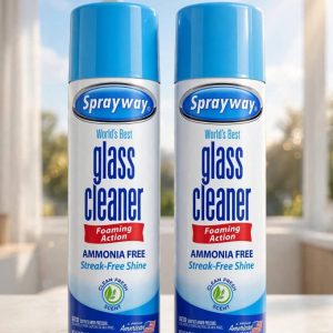 Sprayway Glass Cleaner Aerosol, 19 Oz.