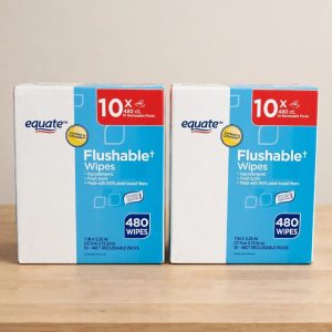 Equate Flushable Wet Wipes, Fresh Scent, 480 Wipes (10 Pack).