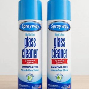 Sprayway Glass Cleaner Aerosol, 19 Oz.